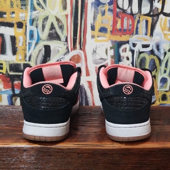 Nike sb (premier fish ladder) - Picture 3 of 6